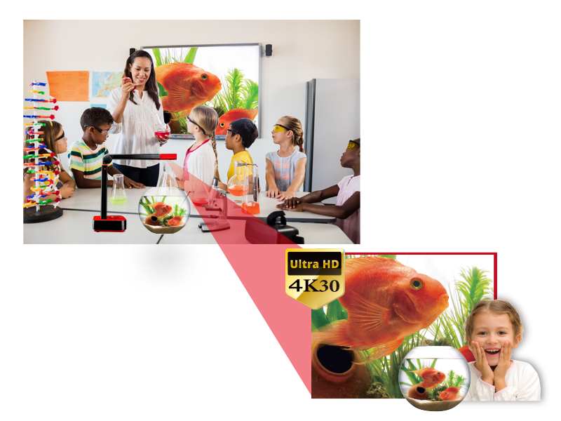 Lumens杰扬光电4K USB 实物投影机DC-F80