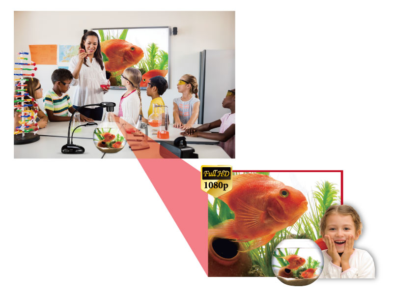 1080p高清影像，栩栩如生 - Lumens杰扬光电 20x 便携式高清实物展台 PC193